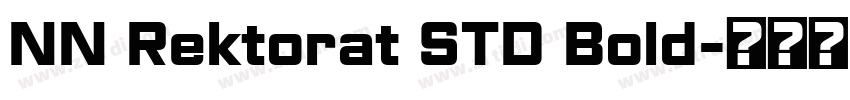 NN Rektorat STD Bold字体转换